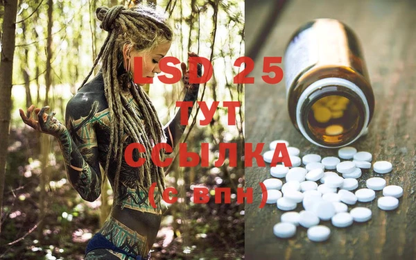 jwh Осинники