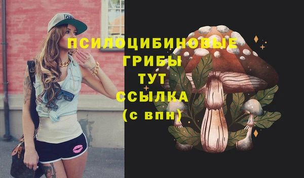 твердый Остров