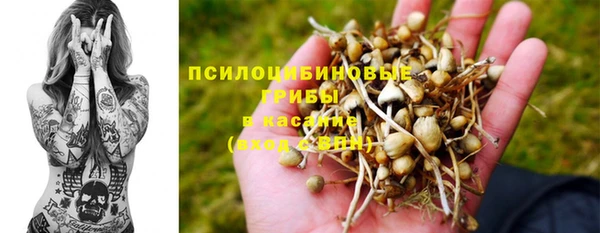 гидропоника Осташков