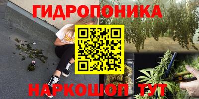 гидропоника Камышлов