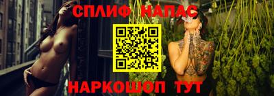 гидропоника Камышлов
