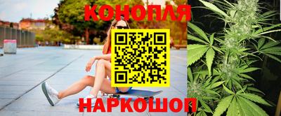 гидропоника Камышлов