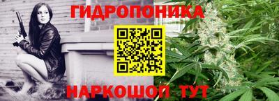 сатива Балахна