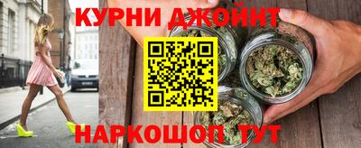 гидропоника Камышлов