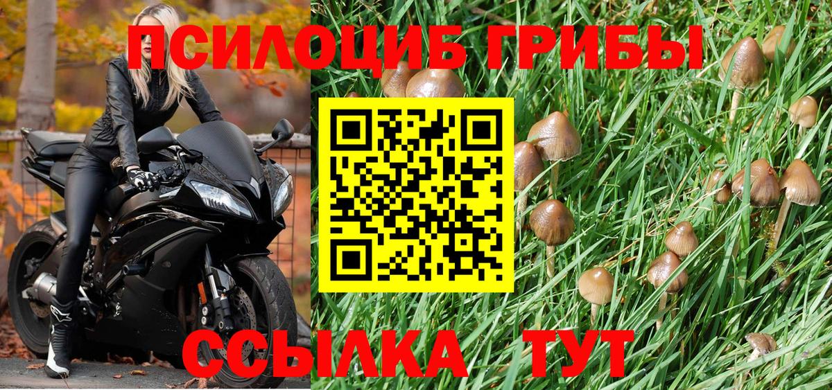 Кинешма  купить  сайты  Вход с VPN  Псилоцибиновые грибы GOLDEN TEACHER 