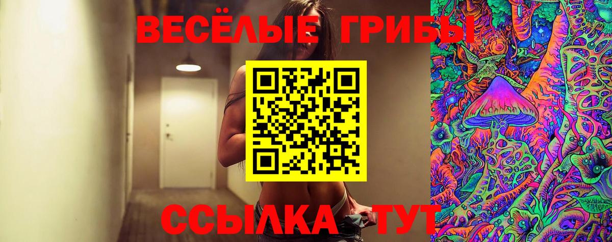 Псилоцибиновые грибы GOLDEN TEACHER  Кинешма  Галлюциногенные грибы мицелий 