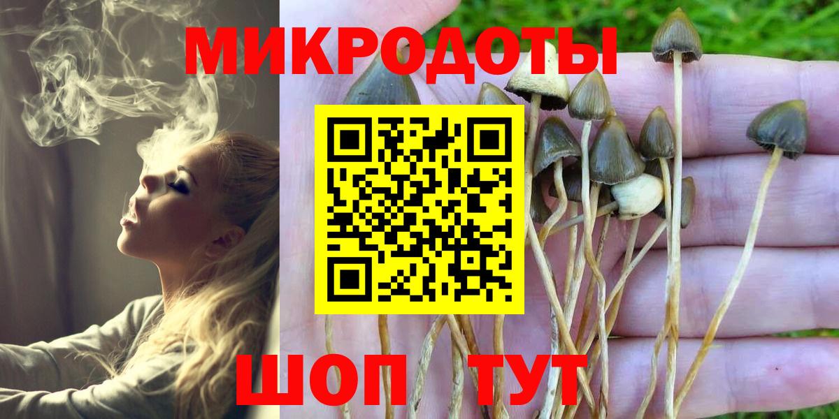 Галлюциногенные грибы мухоморы Кинешма