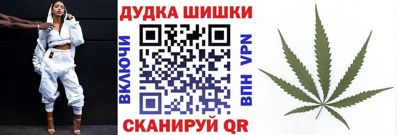 купить наркотик  Кинешма  блэк спрут ссылки  Бошки марихуана OG Kush 